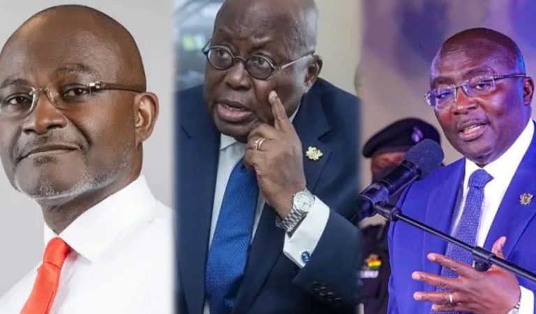 Stop Feeling Sorry For Yourselves- President Akufo Addo Advises NPP Members